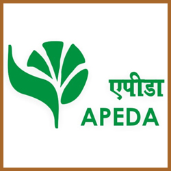 apeda